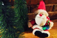 Holiday Decorations