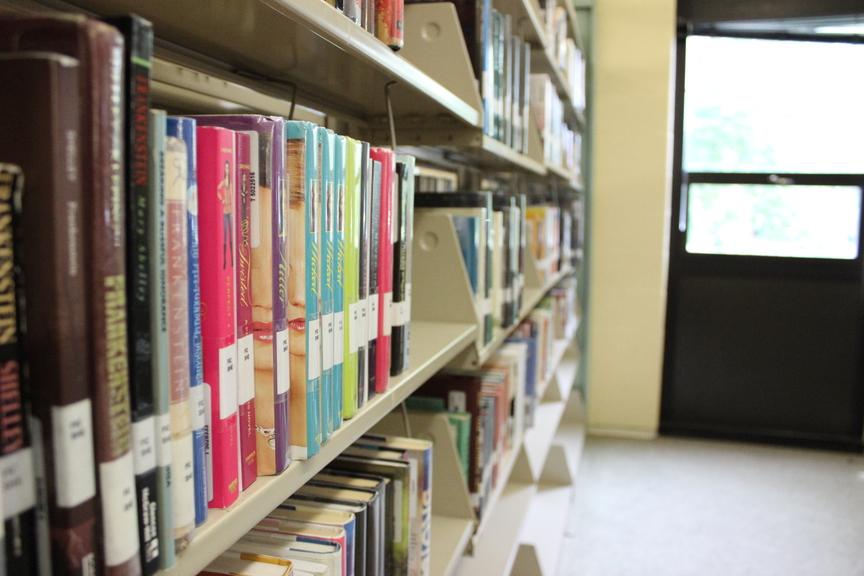 The LHS Library has a wide selection of books for this fall.