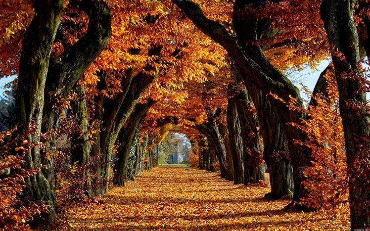++Students+look+forward+to+the+beautiful+weather.+Last+year+around+this+time+of+year%2C+the+leaves+really+started+to+turn.+