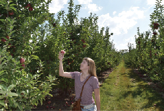 Eckerts Pick-Your-Own Crops
About 30 minutes from Lindbergh, Eckert’s has the best and freshest apples and pumpkins this time of year. With over 36,000 apple trees, there is no doubt that no matter how many of the crispy fruits are picked, everyone will still end up with the perfect mix of Jonathan, Red Delicious, and Golden Delicious apples. Mid-October marks the beginning of Eckert’s pumpkin patch, where the farm has everything from pumpkins light enough to hold with one hand to ones that are impossible to lift. The wagon ride and crops as far as the eye can see ensure the perfect atmosphere for a well-spent autumn day.  